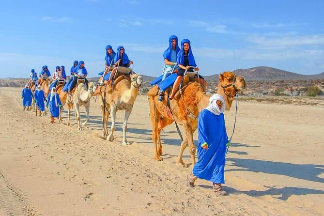Camel Ride