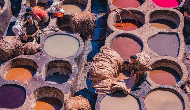 Tannery & Leather Workshop Visit