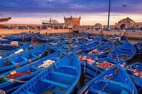 Fishing Port Tour