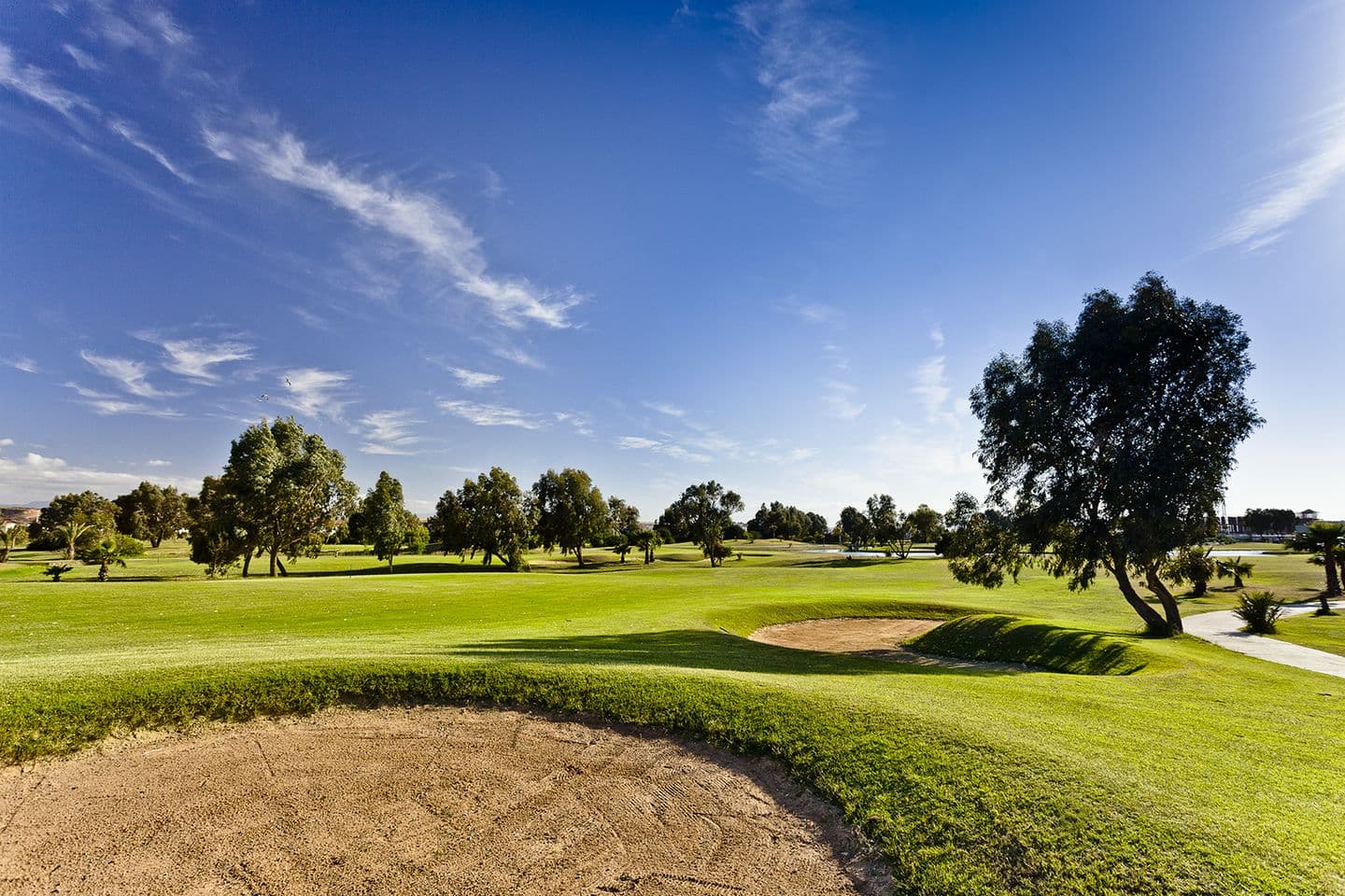 Golf Round