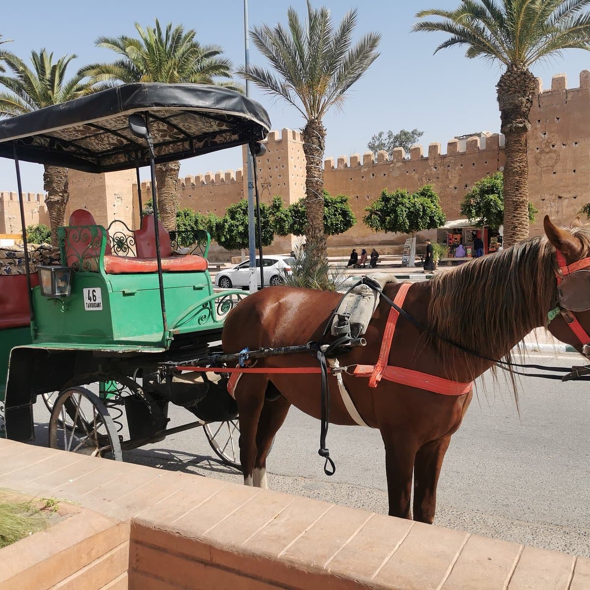 Horse Carriage Ride