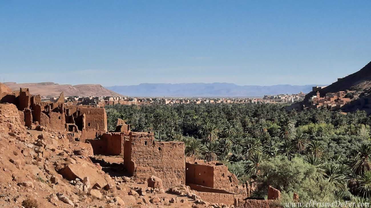 Tinghir Palm Oasis