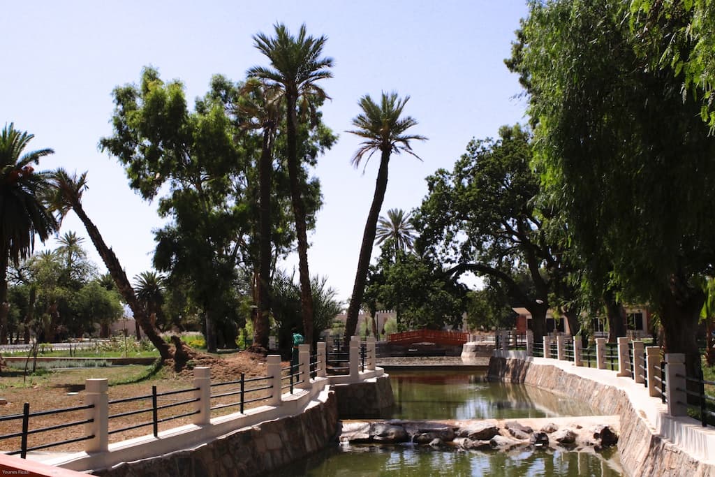 Sidi Yahya Oasis