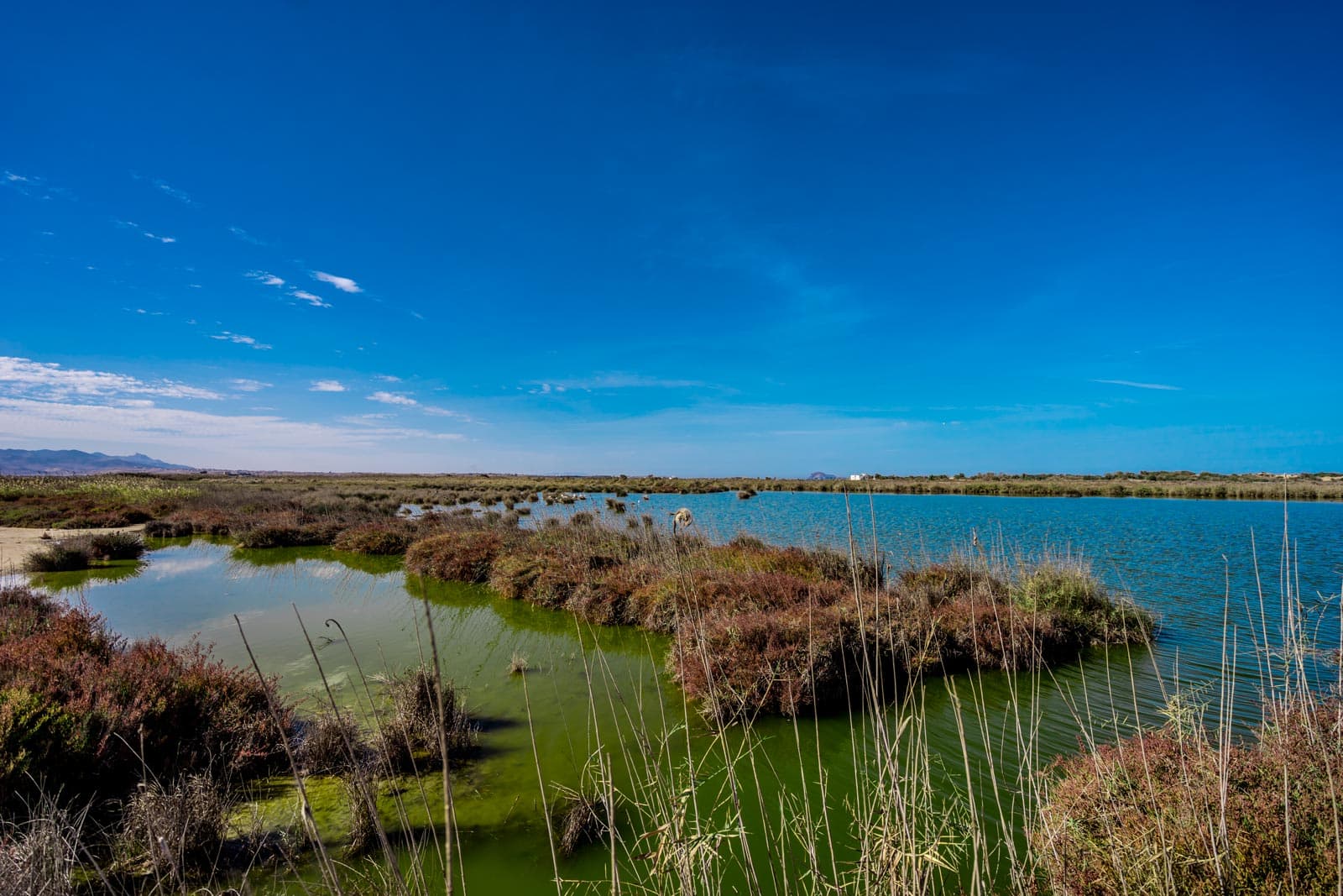 Moulouya River Mouth