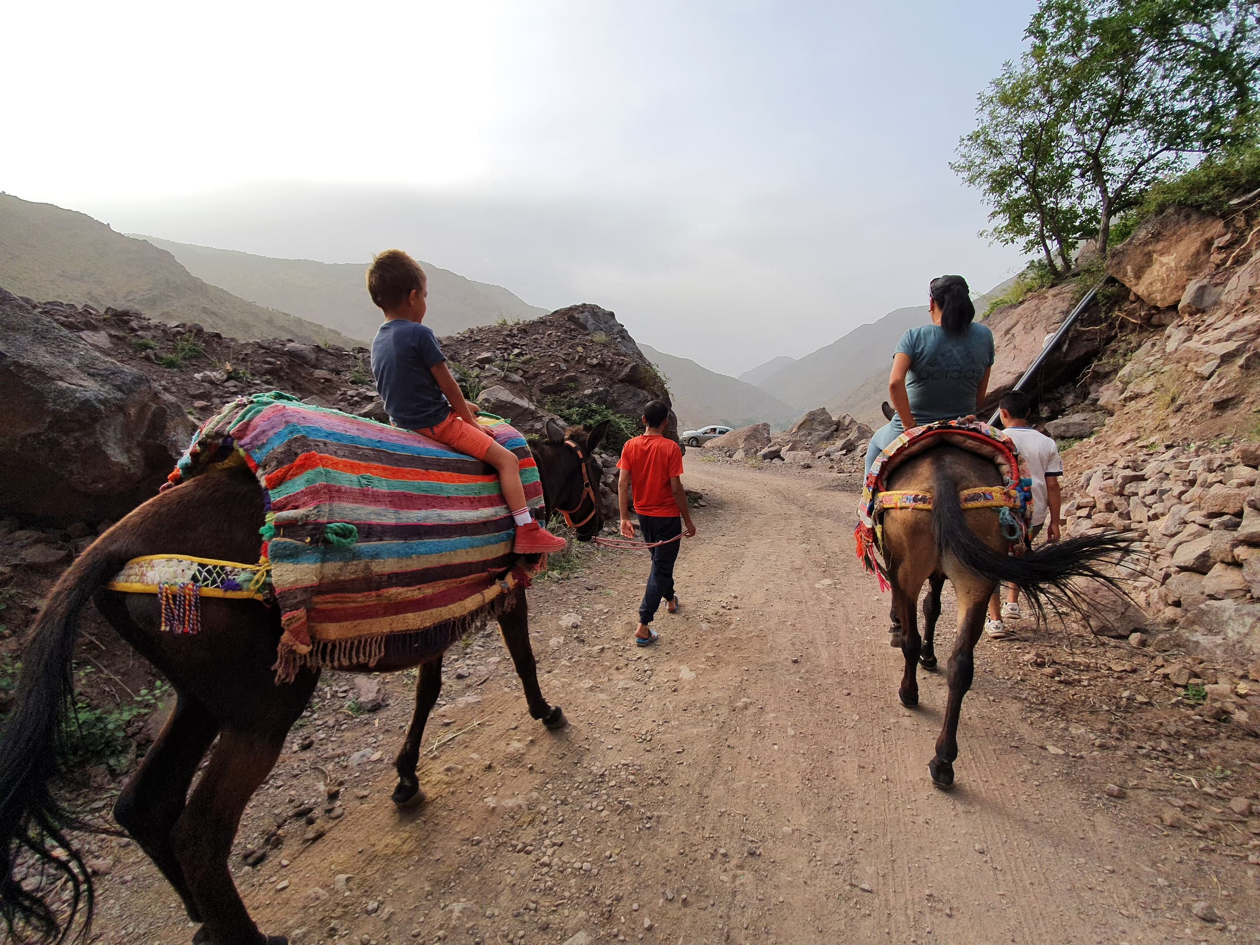 Mule Trek