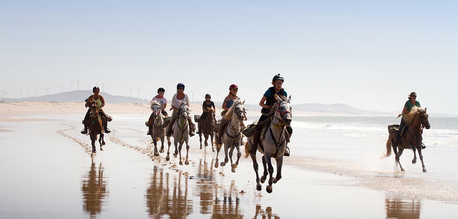 Horse or Camel Ride