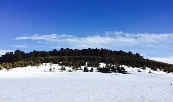 Michlifen Ski Resort