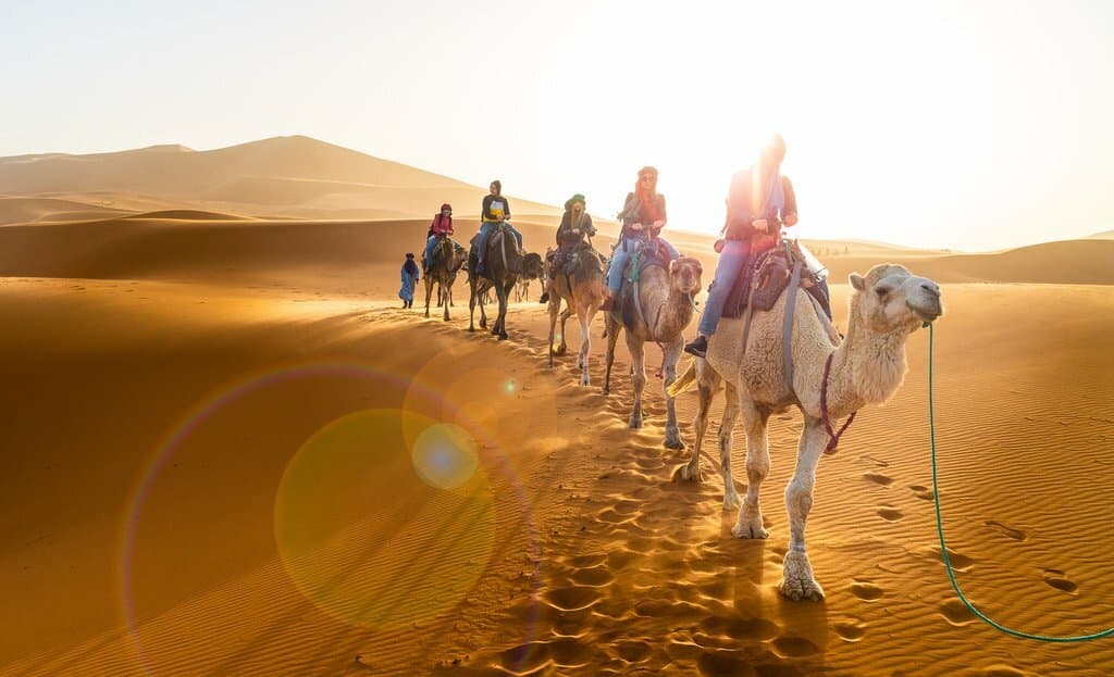 Camel Trek & Overnight Camp