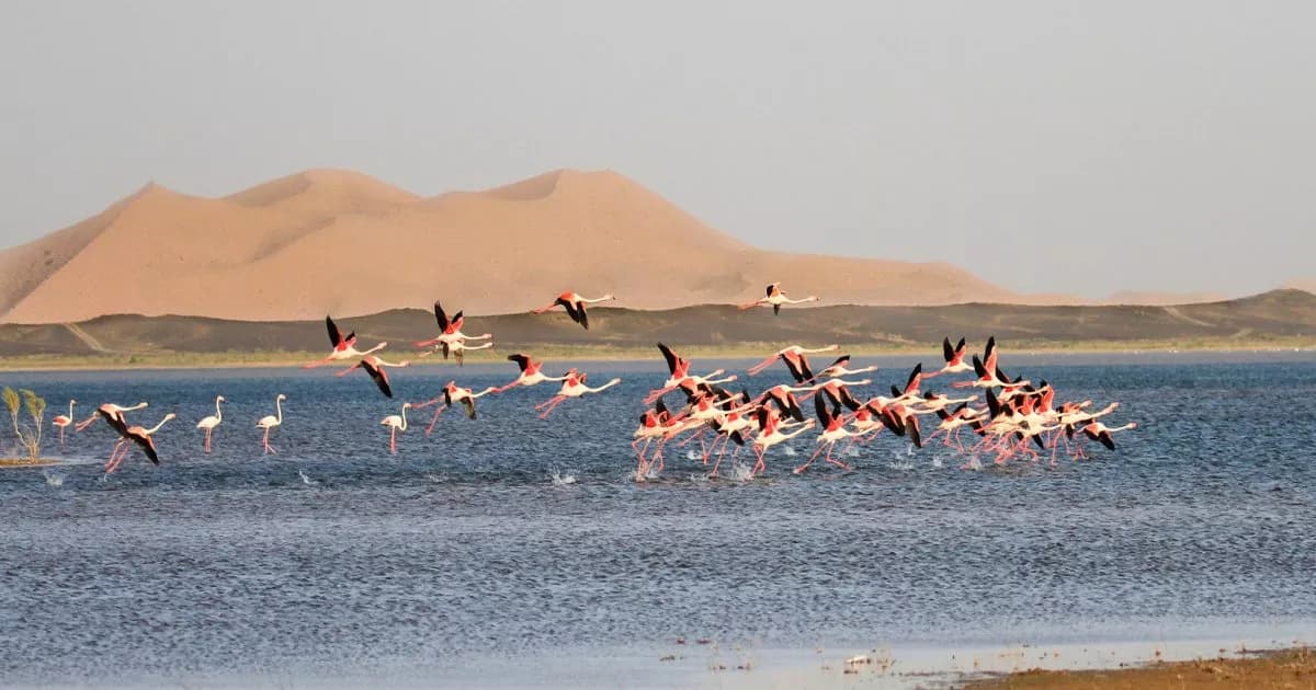 Dayet Srji Lake