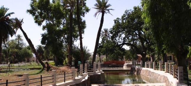 Sidi Yahya Oasis