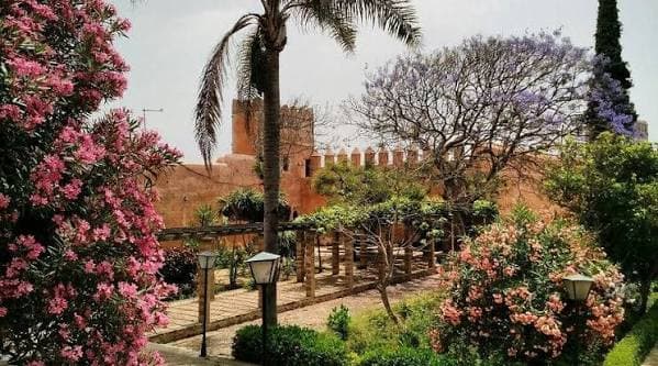 Andalusian Gardens Visit