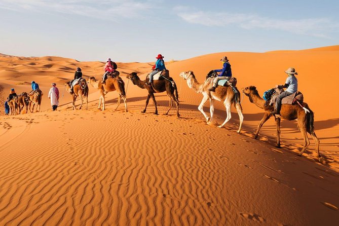 Sahara Desert Tour Cost Guide 2026: Merzouga, Zagora & Camel Prices