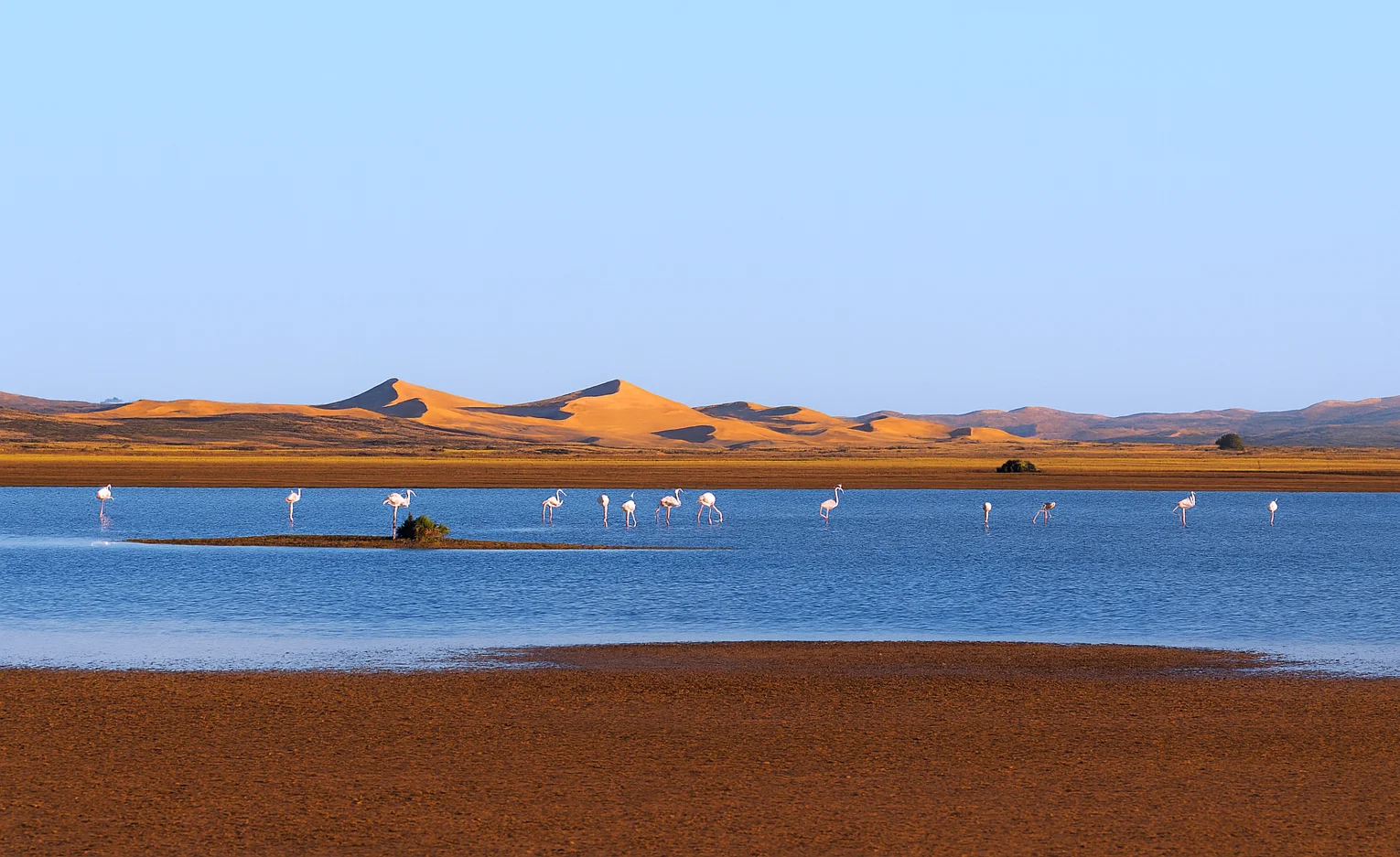 Lake Dayet Srji