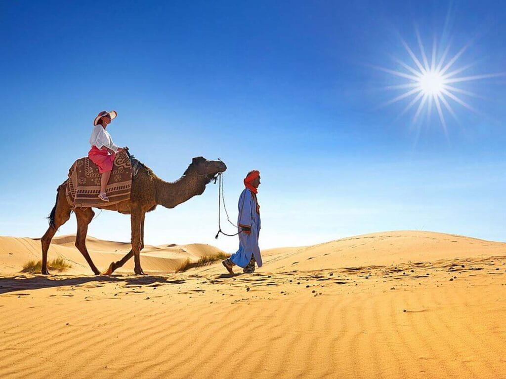 Average price of Camel Ride in Morocco