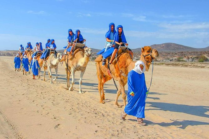 Camel Ride in Agadir price and cost
