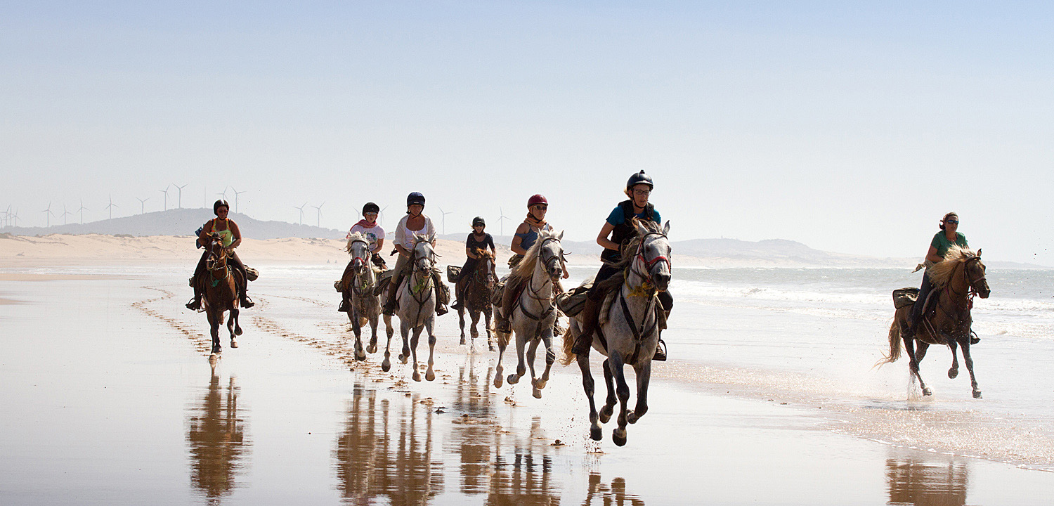 Horse or Camel Ride in Essaouira price and cost
