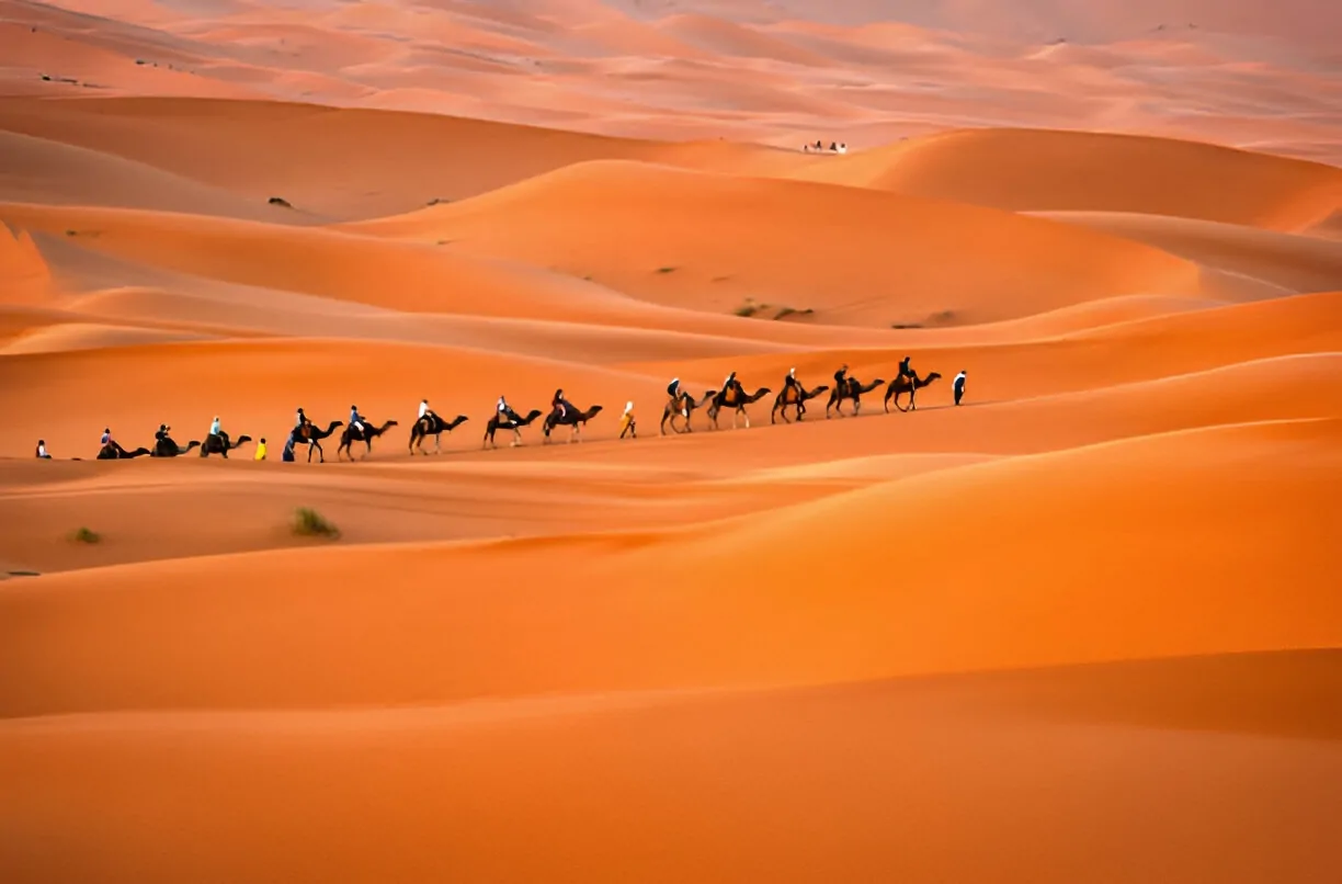 Camel caravan riding over golden Erg Chebbi sand dunes during sunset on a Sahara tour from Fes