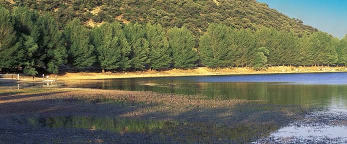 Ifrane National Park attraction in Ifrane