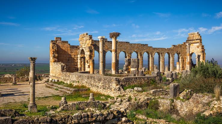 Volubilis Roman Ruins attraction in Meknes
