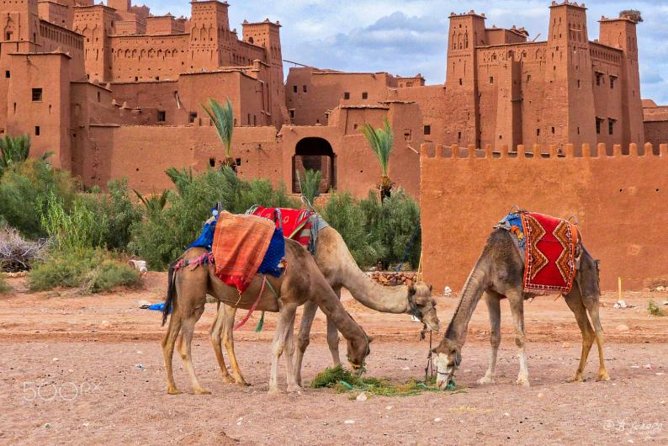 Aït Benhaddou Guided Excursion in Ouarzazate price and cost