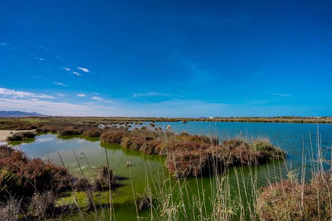 Moulouya River Estuary attraction in Saïdia
