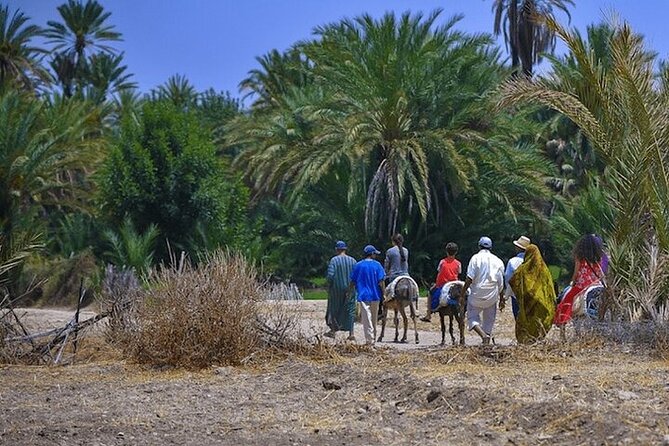 Things to do costs and travel budget in Taroudant