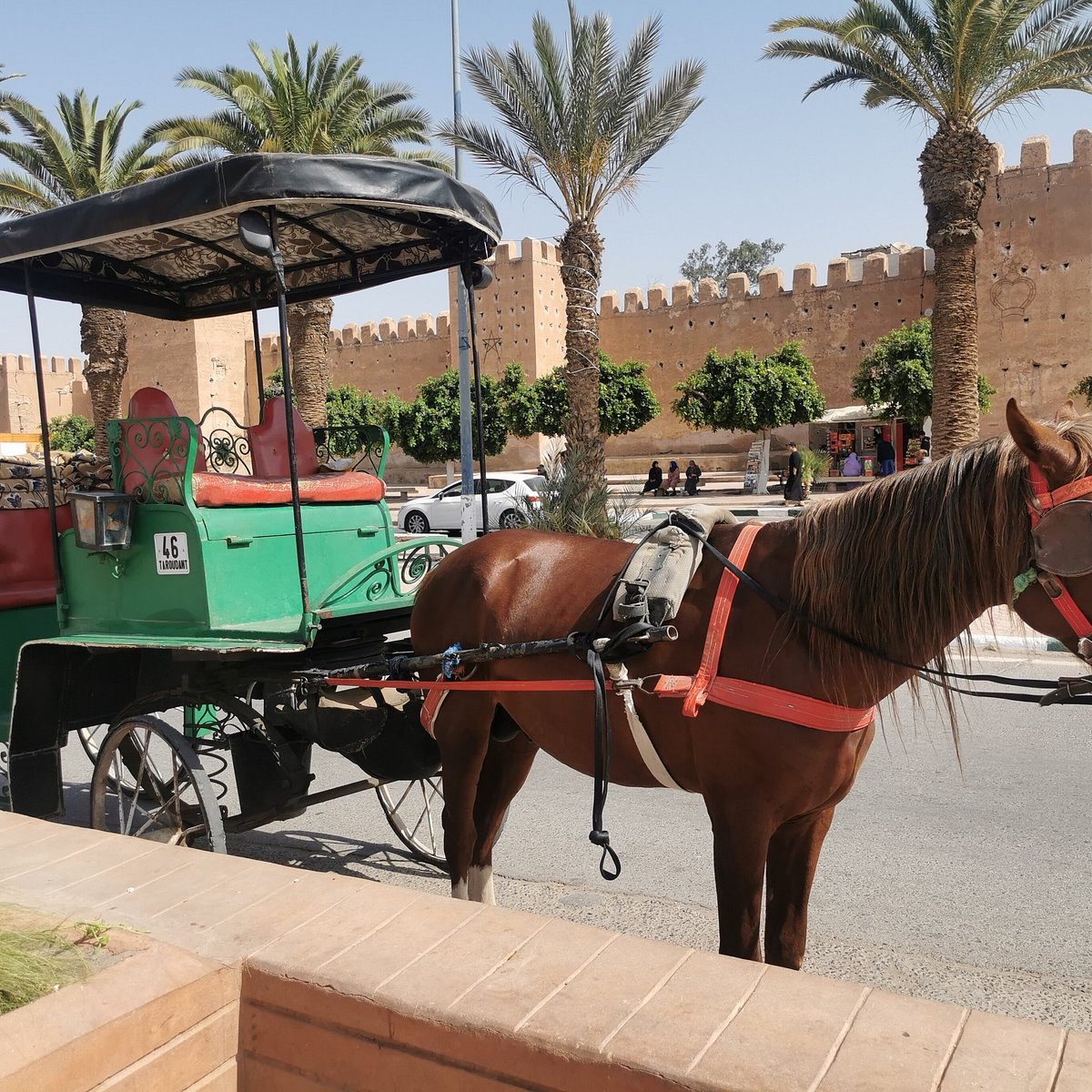 Horse Carriage Ride in Taroudant price and cost