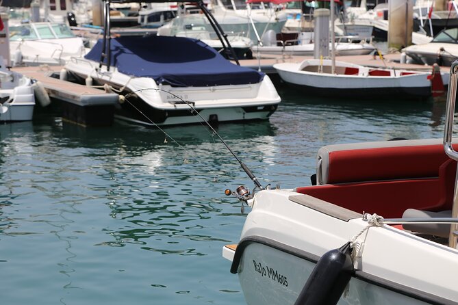 Average price of Boat Trip in Morocco