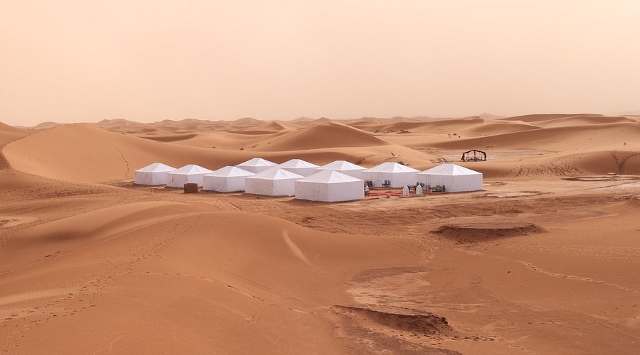 Desert Camp