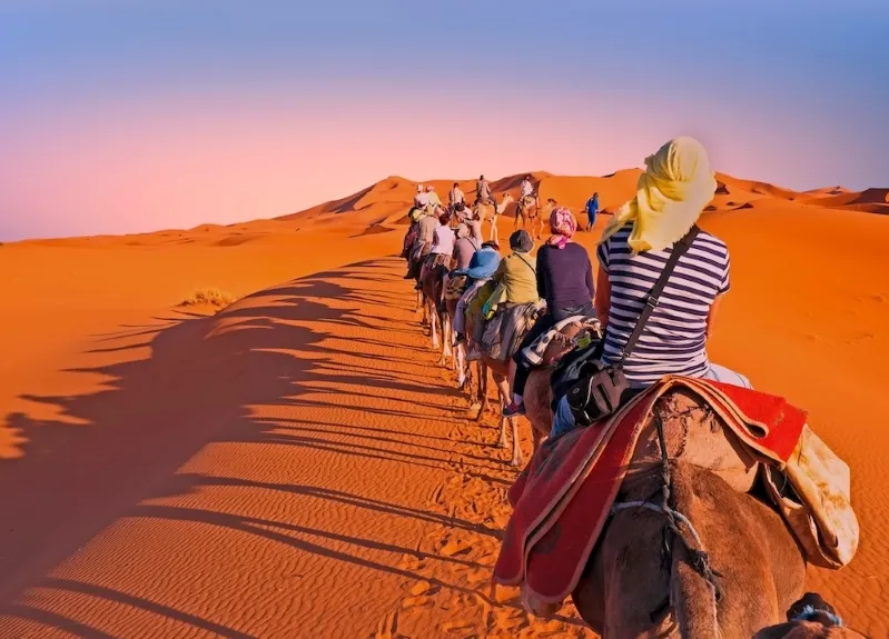 Average price of Desert Tour in Morocco
