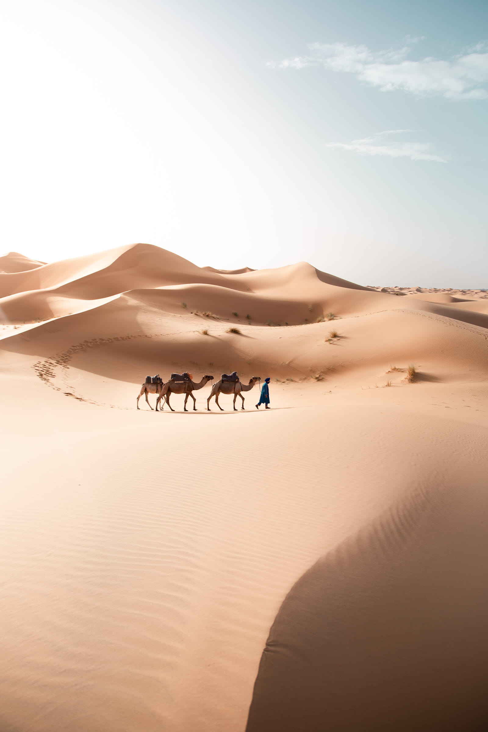 Morocco travel guides